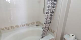 9901 Trailwood Drive Gallery 19