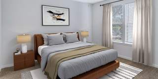 Sabal Palm at Lake Buena Vista Gallery 13