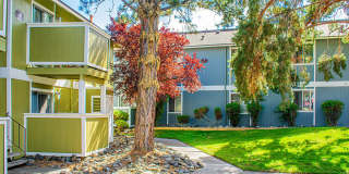 Village of the Pines Village of the Pines Gallery 4