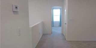 9092 Jade Vine Avenue Gallery 22