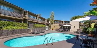 Elán Avante Apartment Homes Gallery 15