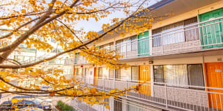 Monticello Apartment Homes Gallery 6