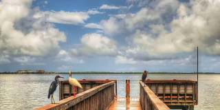 Scottish Towers II Gallery 21