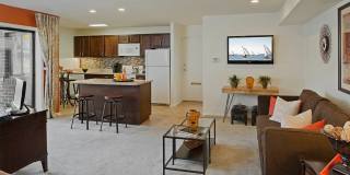 Plum Tree Gallery 22