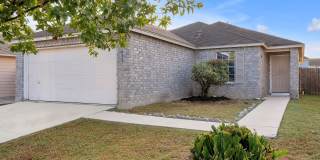 1022 AVOCET Gallery 1