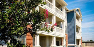 Haven at Lewisville, 55+ Haven at Lewisville, 55+ Gallery 3