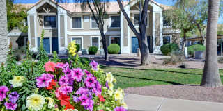 Cottonwood Crossing Gallery 8