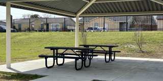 Marine Park Gallery 29