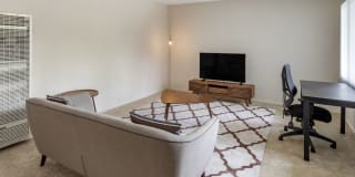 AVA Burbank Gallery 31