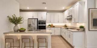 2121 W SONORAN DESERT Drive Gallery 1