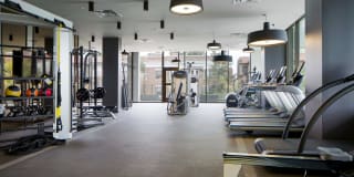 The Hepburn Gallery 25