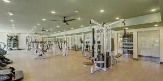 Aspire at Flamingo Grand Gallery 36