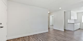 Palm Court Gallery 15