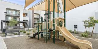 The Aster at Mountain Vista - BRAND NEW Gallery 40