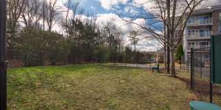 Smith's Landing Gallery 19