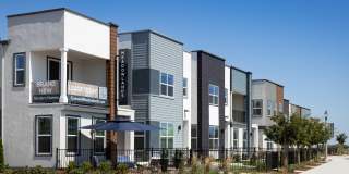 Cyrene at Meadowlands Gallery 6