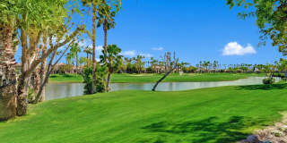 54492 Shoal Creek Gallery 5