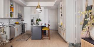 The Louise - Apartments & Townhomes Gallery 28