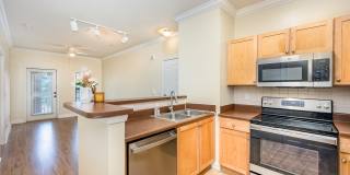 6470 Borasco Drive Gallery 6