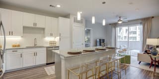 Korina and Alder at The Grove Gallery 1