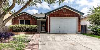 10343 Lion Chase Gallery 1
