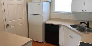 Beautiful 1-Bedroom Apartment for Rent in Mosaic at Millenia Gallery 6