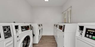 Vivo Living Charlotte Gallery 35