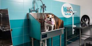 Avalon Carmel Commons Gallery 22