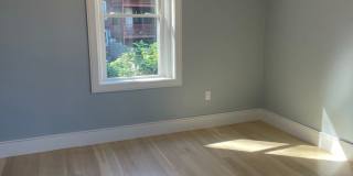 Beautiful brand new three bedroom, Laundry in unit Gallery 10