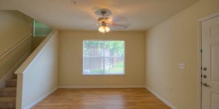 Park at Piney Woods Gallery 20