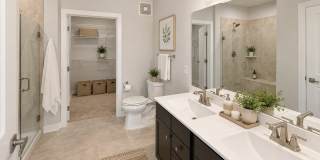 46270 MOUNT ALLEN Terrace Gallery 10