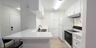 806 Coriander Drive Gallery 1