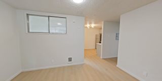 University Manor - Newly Renovated Units just a short walk from Campus! Gallery 24