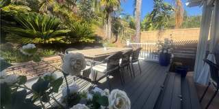 27383 Pumpkin Gallery 21