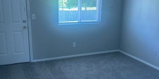 Black Pine Flats Gallery 21