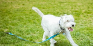 Hearthstone at Merrill Creek Gallery 27