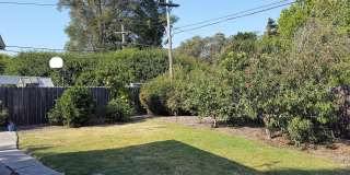 3 Bedroom with Fenced Yard in Laguna Lake Gallery 13