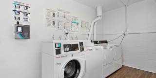 ReNew Biltmore Gallery 28