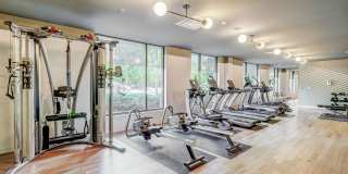 Parkside Esterra Gallery 39