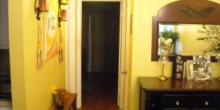 259 Sussex M Gallery 7