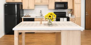 The Theodore Apartments - Senior & Affordable Housing Gallery 33
