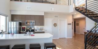 Strata Symphony Gallery 13