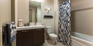 The Victor by Windsor Gallery 13