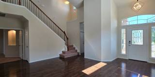 COMING SOON! Gallery 4