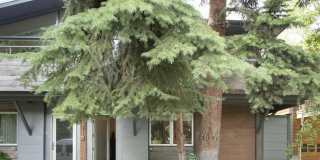 1001 E Cooper Avenue Gallery 14