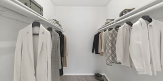 Fox Club Gallery 7