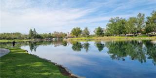 83 Gaviota Gallery 29