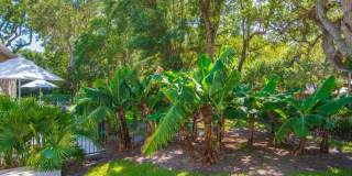 800 Coquina Lane Gallery 32