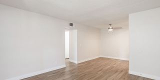 The Ashton Gallery 16