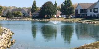 5536 Cedar unit: 5536A Gallery 1